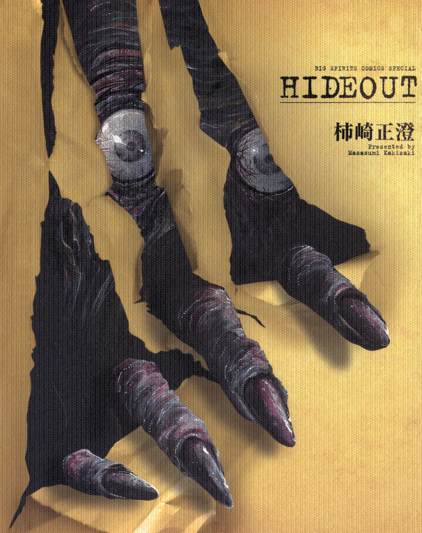 Hideout cover