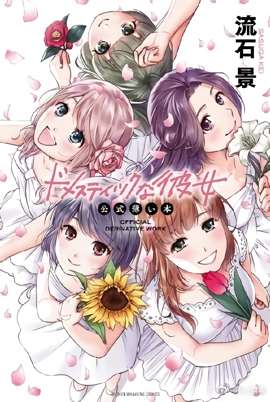 Domestic na Kanojo - Official Derivative Work cover