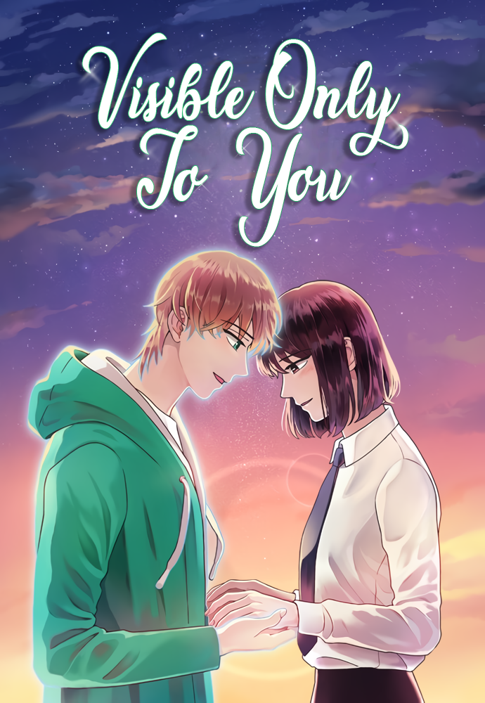 Visible Only to You cover